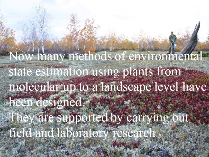 Now many methods of environmental state estimation using plants from molecular up to a